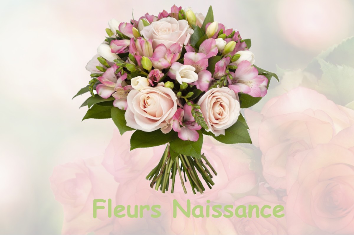 fleurs naissance VERNEGUES