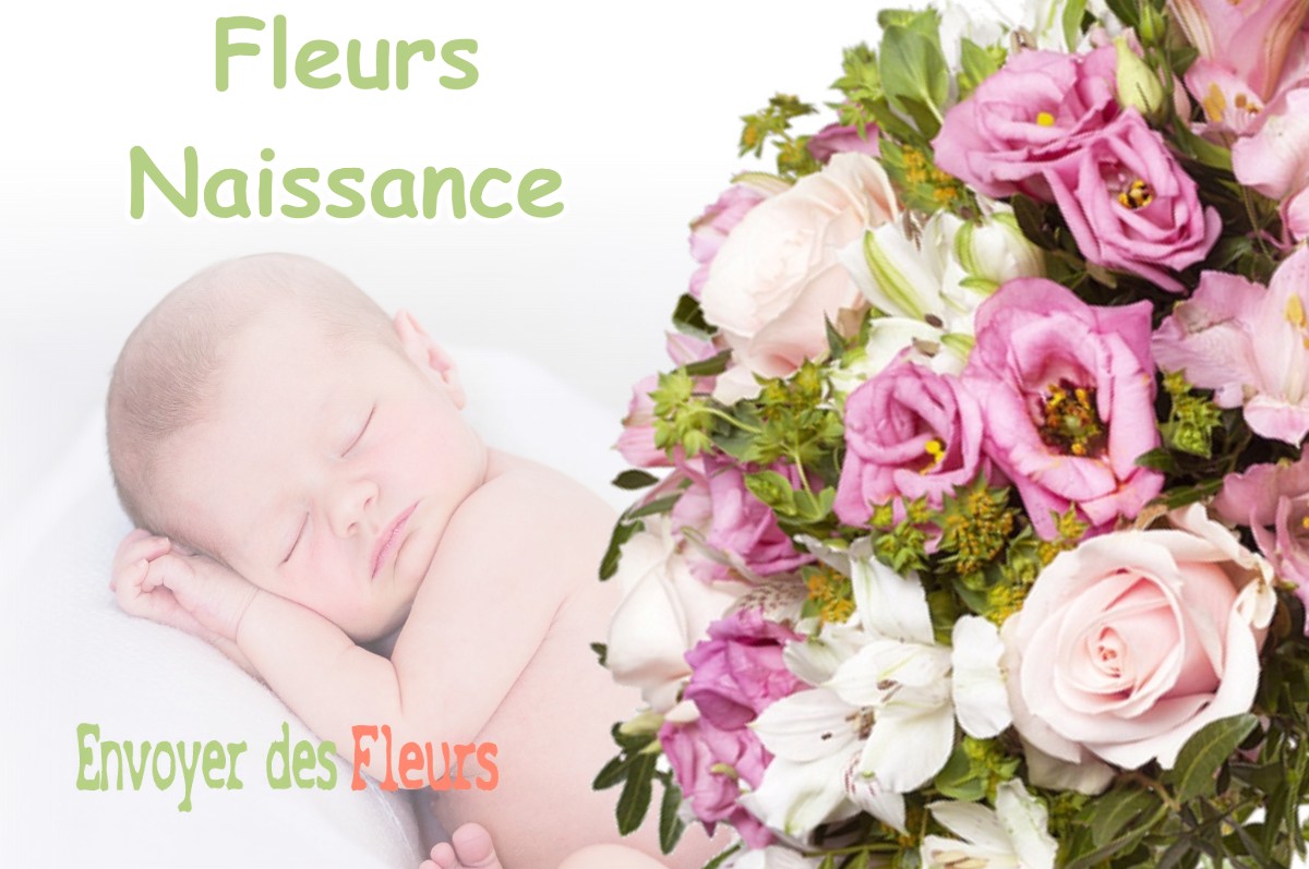 lIVRAISON FLEURS NAISSANCE à VERNEGUES